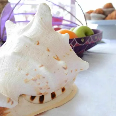 Playa Arenal Grupo Terra De Mar, Con Encanto Apartmán