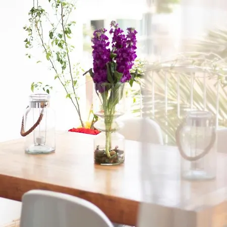 Apartmán Playa Arenal Grupo Terra De Mar, Con Encanto